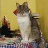 Отзыв от Алла Клюева